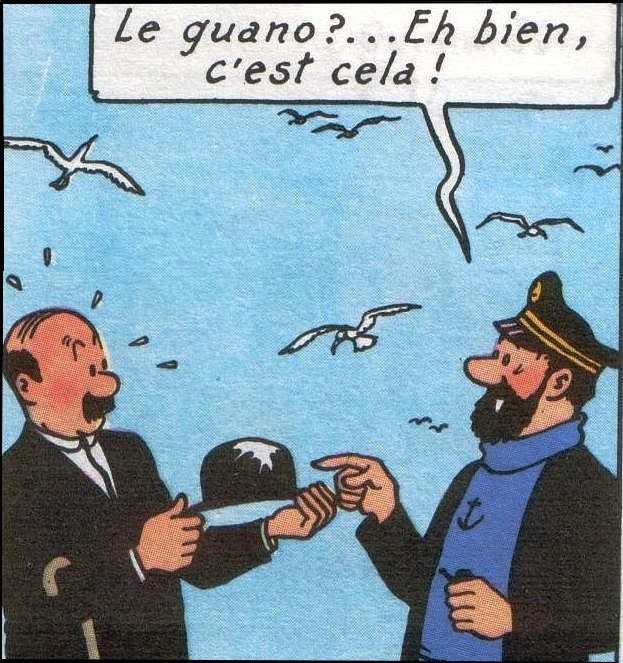 [Jeu] Association d'images - Page 8 Tintin